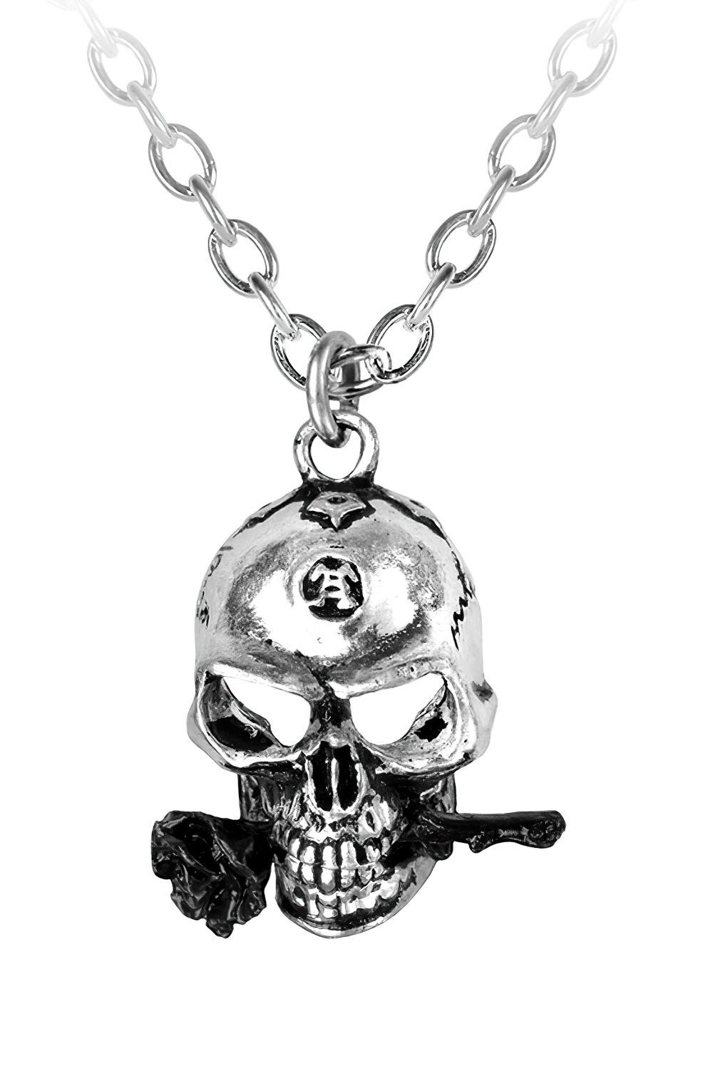 Alchemist Skull Pendant With Black Rose Accent