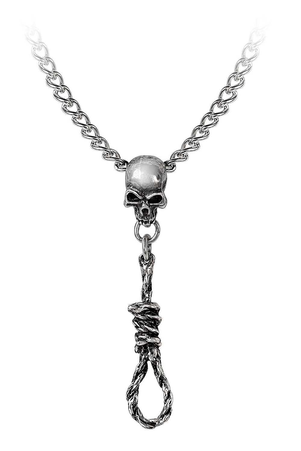Dark Gothic Skull and Hangman's Noose Pendant