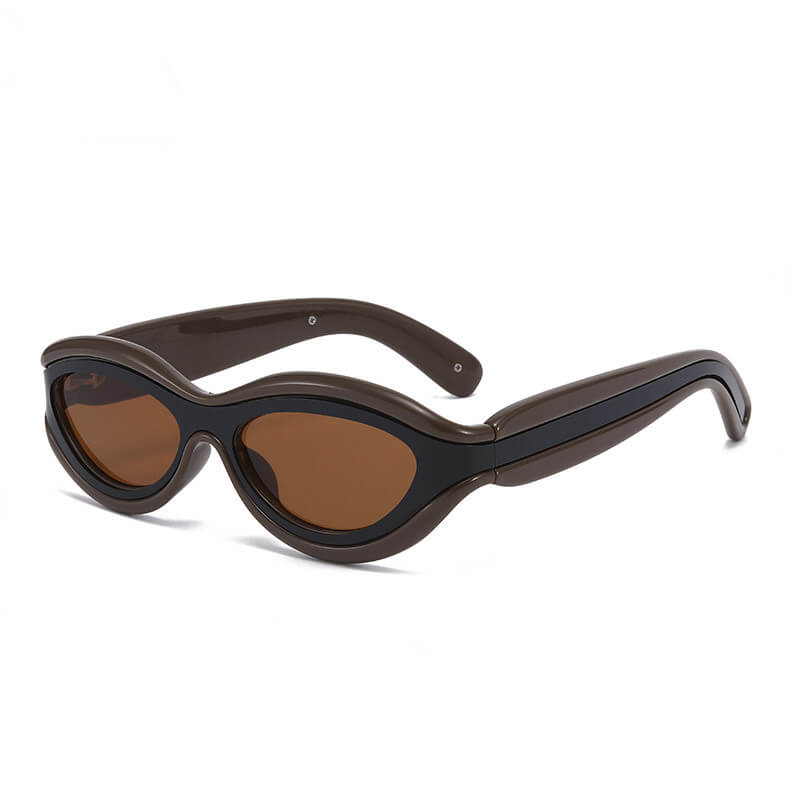 Fashionable Colorblock Cat Eye Pc Sunglasses