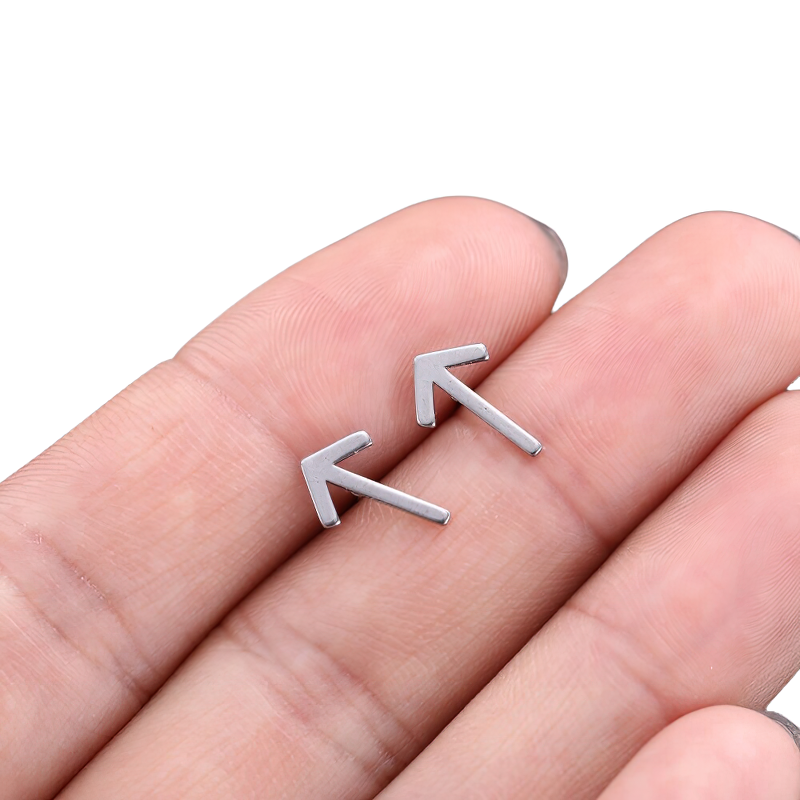 Stainless Steel Jewelry / Silver Earrings / Gothic Style Earrings
