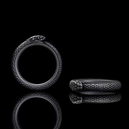 Ouroboros Sterling Silver Spinner Ring