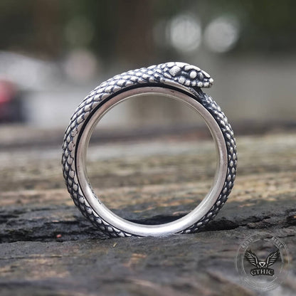 Ouroboros Sterling Silver Spinner Ring
