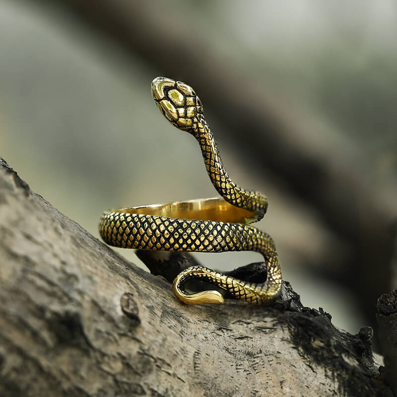 Snake Stainless Steel Ring